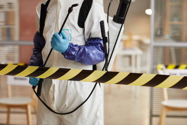 Professional Blood Cleanup technician working in Martindale, TX